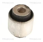 Lagerung, Lenker Hinterachse unten TRISCAN 8500 118061