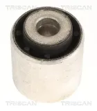 Lagerung, Lenker Hinterachse beidseitig oben TRISCAN 8500 118062