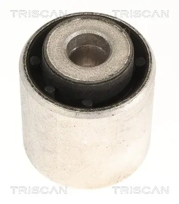 Lagerung, Lenker Hinterachse beidseitig oben TRISCAN 8500 118062 Bild Lagerung, Lenker Hinterachse beidseitig oben TRISCAN 8500 118062