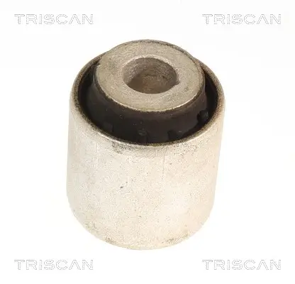 Lagerung, Lenker Hinterachse beidseitig unten TRISCAN 8500 118064