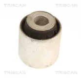 Lagerung, Lenker Hinterachse beidseitig unten TRISCAN 8500 118064