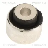 Lagerung, Lenker Hinterachse beidseitig TRISCAN 8500 118065