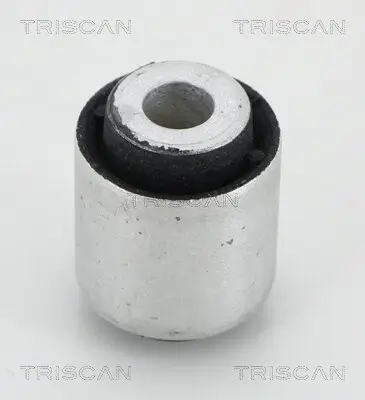 Lagerung, Lenker TRISCAN 8500 11891