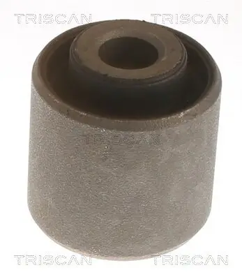 Lagerung, Lenker hinten links rechts TRISCAN 8500 12815