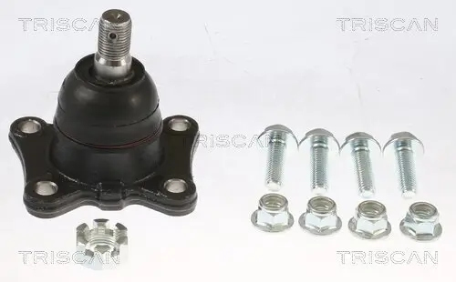 Trag-/Führungsgelenk TRISCAN 8500 13513