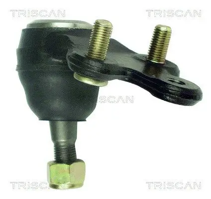 Trag-/Führungsgelenk TRISCAN 8500 13524