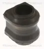 Lagerbuchse, Stabilisator Hinterachse innen TRISCAN 8500 13875