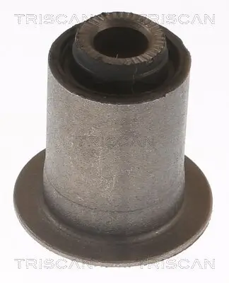 Lagerung, Lenker Hinterachse außen hinten unten TRISCAN 8500 13883 Bild Lagerung, Lenker Hinterachse außen hinten unten TRISCAN 8500 13883