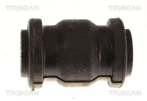 Lagerung, Lenker beidseitig vorne TRISCAN 8500 13885