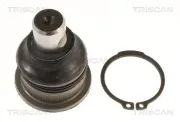 Lagerbuchse, Stabilisator Vorderachse unten links rechts TRISCAN 8500 14836