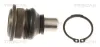 Lagerbuchse, Stabilisator Vorderachse unten links rechts TRISCAN 8500 14836 Bild Lagerbuchse, Stabilisator Vorderachse unten links rechts TRISCAN 8500 14836