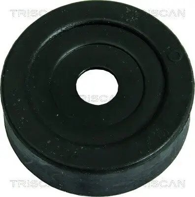 Lagerung, Achskörper Hinterachse TRISCAN 8500 15806