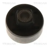 Lagerung, Lenker Vorderachse beidseitig TRISCAN 8500 15847