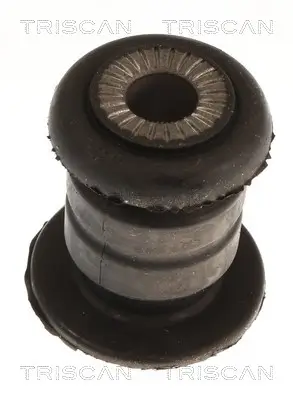 Lagerung, Lenker Vorderachse beidseitig unten TRISCAN 8500 15848