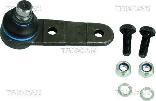 Trag-/Führungsgelenk TRISCAN 8500 16516