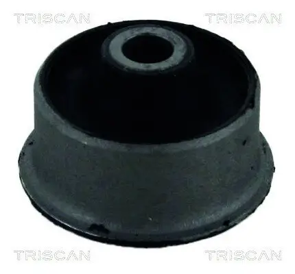 Lagerung, Lenker TRISCAN 8500 16807