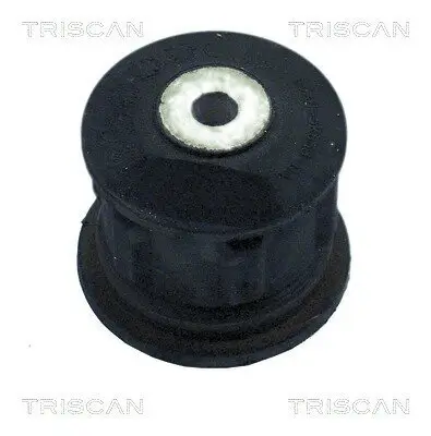 Lagerung, Achskörper Hinterachse außen TRISCAN 8500 16815 Bild Lagerung, Achskörper Hinterachse außen TRISCAN 8500 16815