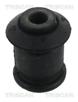 Lagerung, Lenker TRISCAN 8500 16869