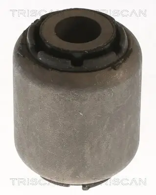 Lagerung, Lenker Vorderachse beidseitig TRISCAN 8500 16889