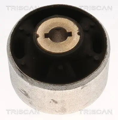 Lagerung, Lenker Vorderachse hinter der Achse innen unten TRISCAN 8500 16891