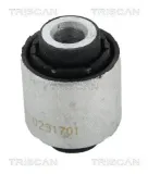 Lagerung, Lenker Hinterachse außen innen unten TRISCAN 8500 17821