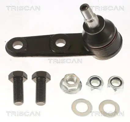 Trag-/Führungsgelenk TRISCAN 8500 21505