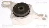 Lagerung, Lenker Vorderachse links hinten unten TRISCAN 8500 238004