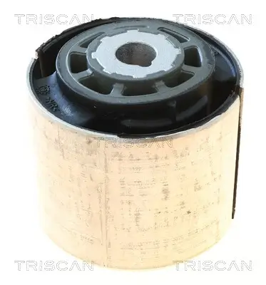 Lagerung, Lenker Vorderachse beidseitig unten TRISCAN 8500 238043