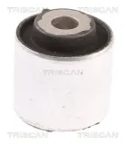 Lagerung, Lenker Hinterachse außen oben TRISCAN 8500 23832