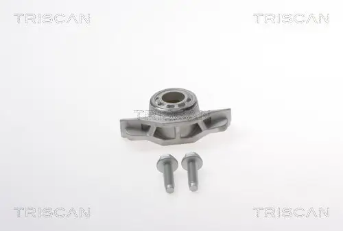 Federbeinstützlager Hinterachse TRISCAN 8500 24920