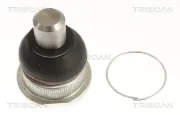 Trag-/Führungsgelenk TRISCAN 8500 255021