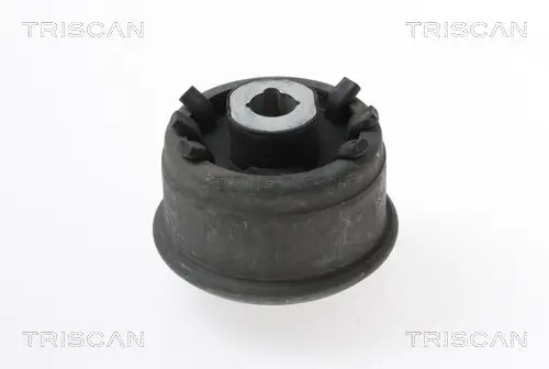 Lagerung, Lenker Vorderachse hinter der Achse innen unten TRISCAN 8500 25864