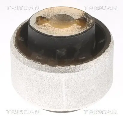 Lagerung, Lenker Vorderachse hinter der Achse innen unten TRISCAN 8500 25883