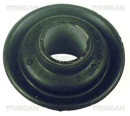 Lagerung, Lenker Vorderachse unten vorne TRISCAN 8500 27800