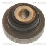 Lagerung, Lenker Vorderachse innen vor der Achse TRISCAN 8500 288003