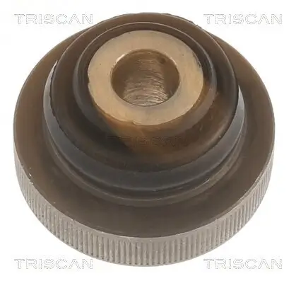 Lagerung, Lenker Vorderachse innen vor der Achse TRISCAN 8500 288003 Bild Lagerung, Lenker Vorderachse innen vor der Achse TRISCAN 8500 288003