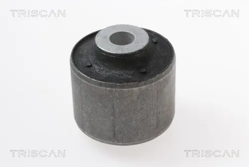 Lagerung, Lenker Vorderachse hinter der Achse innen unten TRISCAN 8500 298052 Bild Lagerung, Lenker Vorderachse hinter der Achse innen unten TRISCAN 8500 298052