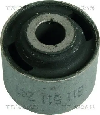 Lagerung, Achskörper Hinterachse außen TRISCAN 8500 29805 Bild Lagerung, Achskörper Hinterachse außen TRISCAN 8500 29805
