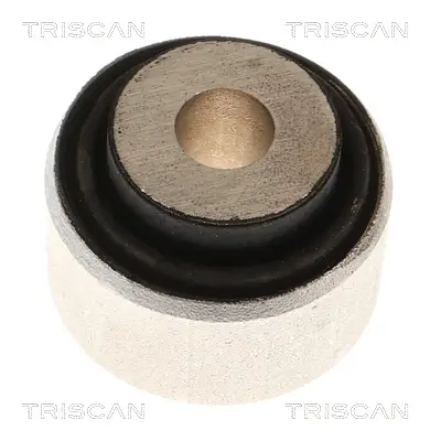 Lagerung, Lenker Hinterachse beidseitig TRISCAN 8500 298096 Bild Lagerung, Lenker Hinterachse beidseitig TRISCAN 8500 298096