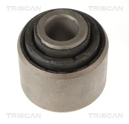 Lagerung, Lenker TRISCAN 8500 298101