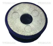 Lagerung, Achskörper Vorderachse außen TRISCAN 8500 29851