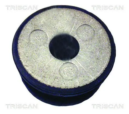 Lagerung, Achskörper Vorderachse außen TRISCAN 8500 29851 Bild Lagerung, Achskörper Vorderachse außen TRISCAN 8500 29851