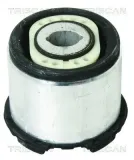 Lagerung, Achskörper Hinterachse hinten TRISCAN 8500 29873
