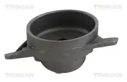 Federbeinstützlager TRISCAN 8500 29921