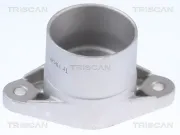Federbeinstützlager Hinterachse TRISCAN 8500 29925