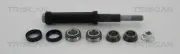 Reparatursatz, Querlenker Hinterachse außen unten TRISCAN 8500 38401