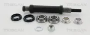 Reparatursatz, Querlenker Hinterachse außen unten TRISCAN 8500 38402