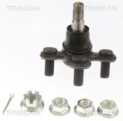 Trag-/Führungsgelenk TRISCAN 8500 40591 Bild Trag-/Führungsgelenk TRISCAN 8500 40591