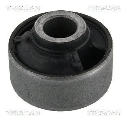 Lagerung, Lenker Vorderachse hinten unten TRISCAN 8500 40815