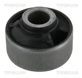 Lagerung, Lenker Vorderachse hinten unten TRISCAN 8500 40815